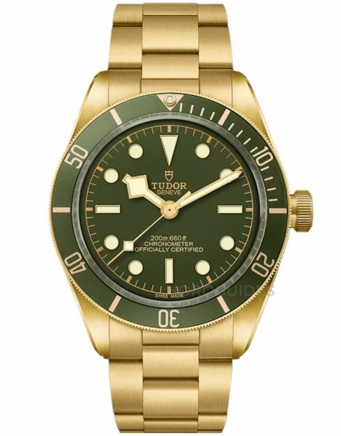 TUDOR - BLACK BAY - M79363N-0001 - TUDOR 2026 年價格更新,Black Bay、Pelagos 有咩變化?一文睇清