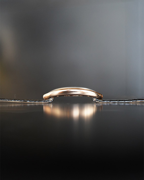 CARTIER - BAIGNOIRE - WGBA0018 - 藏家Mervin Ling的年度最愛｜HOROGUIDES雜誌Vol.9特別企劃